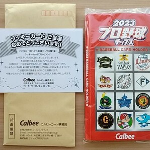 カルビー プロ野球チップス 2023 カードホルダー 新品・未開封・当選通知付きの画像1