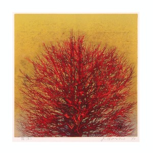 星襄一 「梢（赤）」 /木版画/直筆サイン・印有り/1973年制作/飾りやすいサイズ/燃えるような赤い樹/真作保証/ENCHANTE
