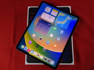 12.9インチ iPad Pro 第5世代 256GB WiFiモデル スペースグレイ A2378 中古美品 箱付 即決