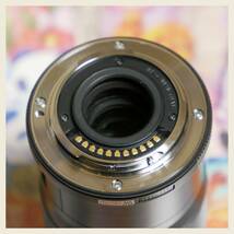 「送料込」OLYMPUS M.ZUIKO DIGITAL ED 60mm f2.8 Macro (中古実用品）_画像5