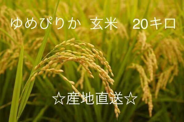 新米産地直送 令和5年北海道産玄米ゆめぴりか 20kg送料込み 数量限定！！①