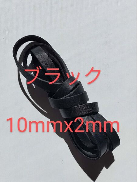 革紐 牛革 紐 本革 レザー クラフト ブラック 2M