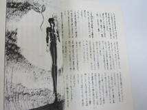 幻界突破・幻晶宇宙 2冊 幻視舎 小寺一司_画像2