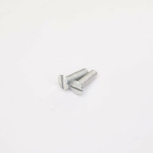 Slotted head screw M4x20mm マイナスヘッドスクリュー Lambretta ランブレッタ VESPA ベスパ ネジ スクリュー