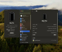 Apple純正 MacPro Late2013用 SSD 1TB / macOS Sonoma・Monterey・Windows11 Pro インストール済#_画像3