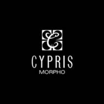 新品・未使用 CYPRIS 革長財布　MORPHO CONCEPT 希少な珍しい青系　　(正規価格約：三万円)　　 _画像4