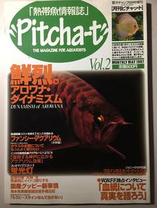 月刊ピチャット 熱帯魚情報誌 　1997年VOL.2　鮮烈。アロワナ・ダイナミズム　　観賞魚専門誌　古書　美品　（VOL.３　VOL.4も同時出品）中