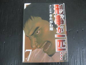 刑事が一匹　デカが一匹　7巻 (最終巻）　きたがわ翔　2006.12.22初版　6b