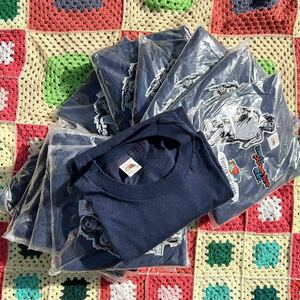 80s USA製 デッドストック ポケットTシャツ フルーツオブザルーム FRUIT OF THE LOOM ポケT アメリカ製 パック vintage ヴィンテージ B-①