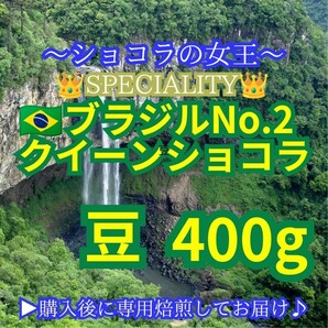 【 豆 】 ブラジル No2 クイーンショコラ 400g 83点 スペシャルティ コーヒー 珈琲 自家焙煎 モヒロコーヒー