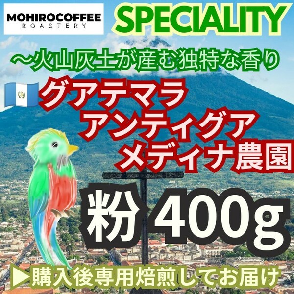 【粉】 グアテマラ アンティグア メディナ農園 400g コーヒー 珈琲 自家焙煎 コーヒー豆 グァテマラ ガテマラ