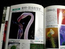 ☆クローズアップ撮影テクニック☆草花・昆虫から生物まで☆玄光社☆_画像3