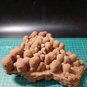 22112 砂漠のバラ　石膏タイプ　モロッコ　8.3cm×21cm　2178g