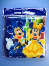 【出品11周年企画】【廃盤】 TDR TDL/東京ディズニーランド★ウォッシュタオル ハンドタオル/2014年 31st Anniversary★送料310円～_画像1