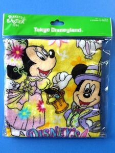 【廃盤】 TDR TDL/東京ディズニーランド★ウォッシュタオル ハンドタオル/2014年 イースター★送料310円～