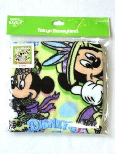 【廃盤】 TDR TDL/東京ディズニーリゾート★ウォッシュタオル ハンドタオル/2015年 イースター★送料310円～