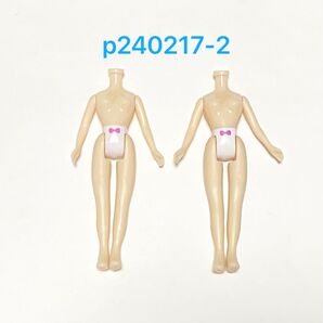 p0217-2 ボディ アイシードール