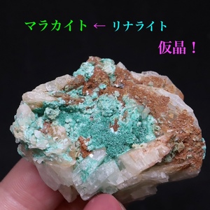 【送料無料】マラカイト ← リナライト が変化！ 48,4g 原石 鉱物 MA039 パワーストーン 天然石