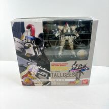 y0209 【1円〜】HCM Pro 58-00 トールギス OZ-00MS TALL GEESE バンダイ BANDAI ガンダムW ウィング ガンダム_画像8