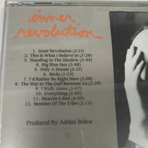 エイドリアン・ブリュー(キング・クリムソン) Inner Revolution(Adrian Belew、King Crimson)_画像3