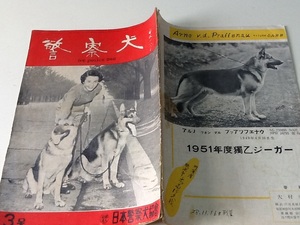 昭和28年　9月　日本警察犬協会　警察犬　シェパード