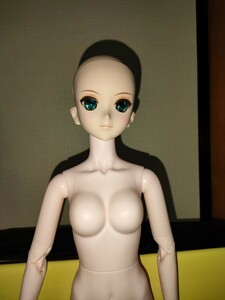 ドール　本体＋カスタムヘッド付き　1/3 60cm Doll用　ボディー　オビツ　金髪 碧眼　アゾン　ドルフィードリーム　スーパードルフィー　DD