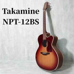 Takamine NPT-012BS エレアコ エレクトリック アコースティックギター 長渕剛