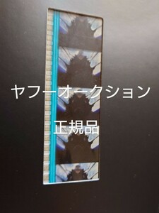 エヴァンゲリオン 映画 劇場版 ヱヴァンゲリヲン新劇場版 破 DVD 特典 フィルム コマフィルム 劇場上映生フィルムコマ 渚カヲル カヲル