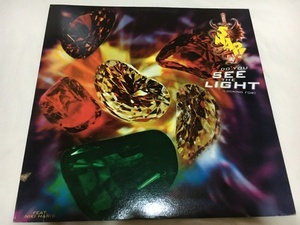 SNAP Do You See The Light 12inch スナップ