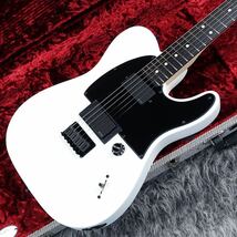 美品 Fender Jim Root Telecaster Flat White テレキャスター フェンダー EMG エボニー 指板 ハードケース_画像2