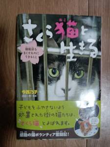 さくら猫と生きる　今西 乃子（作）浜田 一男（絵）ポプラ社　[n19]