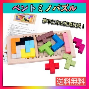 ペントミノパズル モンテッソーリ テトリス パズル 型はめ カタミノ おもちゃ