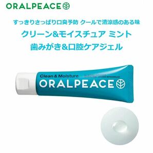 ORALPEACE オーラルピース クリーン＆モイスチュア ミント 歯みがき＆口腔ケアジェル 80g 2本セット 歯磨き粉 口臭