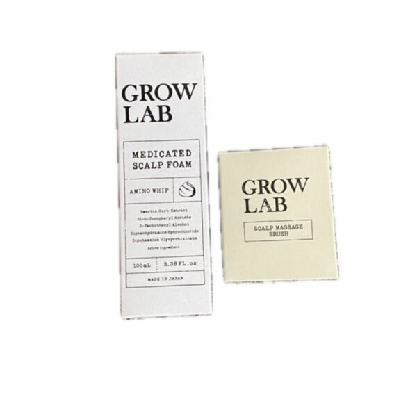 グロウラボ GROW LAB メディケイテッドスカルプフォーム 100ml 医薬部外品 育毛 育毛剤 新品未開封
