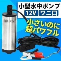 水中ポンプ 12V 小型 ワニクリップ ライブウェル ビルジポンプ クランプ 農業 海水 家庭用 キャンプ シャワー ボート 釣り 給水 排水 船_画像1