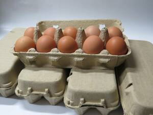 平飼い卵50個・自家配合飼料・赤玉鶏（ボリスブラウン）・アニマルウェルフェア準拠