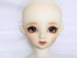 SD F-82 head EB + Dear SD body white . balk sDSD ever beauty Nico type 