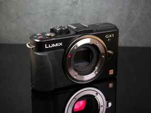 【美品】LUMIX GX1 動作未確認