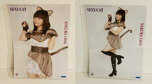 【モーニング娘。'16】小田さくらピンナップポスター★SEXY CAT★2枚セット