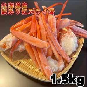 【北海道産】訳あり 紅ズワイガニ 足折れ Sサイズ B品 1.5Kg 蟹 かに ボイル 母の日 お歳暮 年末 冷凍 ズワイ ずわいの画像1