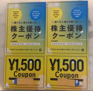 Hamee ハミー株主優待券1500円×2枚