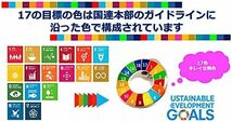 【国連本部公式最新ガイドライン仕様】 SDGs バッジ 25mm sdgs バッチ ピンバッチ ギフト（1個） 銀色 シルバー 表_画像5