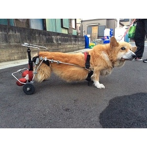 ヤマペットのコーギー・ダックス犬用車椅子：レンタル・車いす・車イス・新車