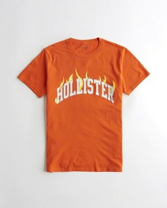 新品タグ付★正規品★Mサイズ！★ホリスターHOLLISTER★Tシャツ★新作★ファイヤー★未開封★在庫１点のみ