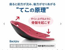 BackJoy Medi Core Relef PRO+　バックジョイ メディコアリリーフ プロ 骨盤矯正 座椅子_画像10