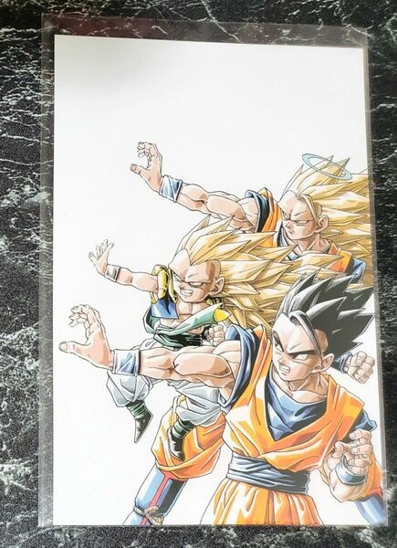 【レア】ドラゴンボール展 限定 ポストカード 孫悟飯 孫悟空 ゴテンクス 展覧会 鳥山明の世界 DRAGON BALL 美品