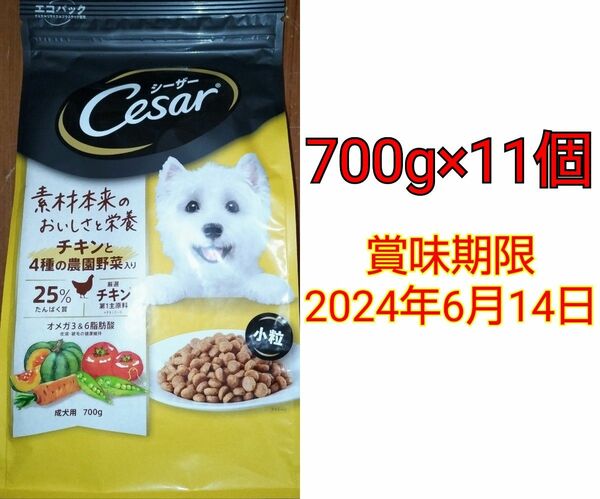 Cesar チキンと4種の農園野菜入り 成犬用 小粒 700g×11袋