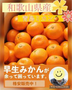 ☆７名様限定破格☆和歌山県産ゆらみかん蜜柑1.5キロ～２キロ箱☆由良ミカン☆