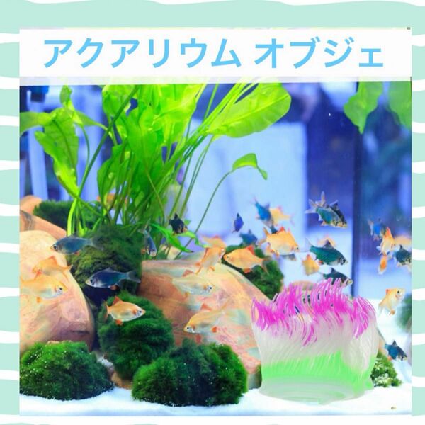 ●お魚ちゃん達へ● 水槽 造園 アクアリウム 隠れ家 オブジェ 装飾 プレゼント