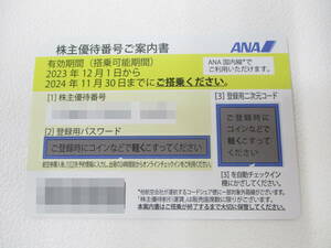 2402603-013 ANA 株主優待券 期限2024年11月30日 1枚 未使用